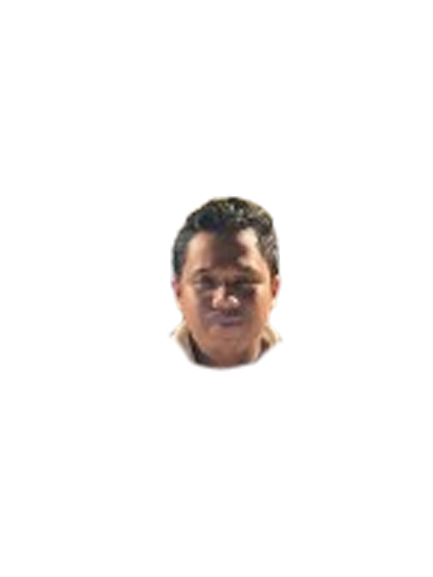 bolavitaslot